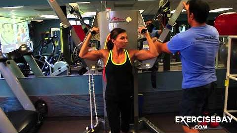 Biceps  with high pulleys