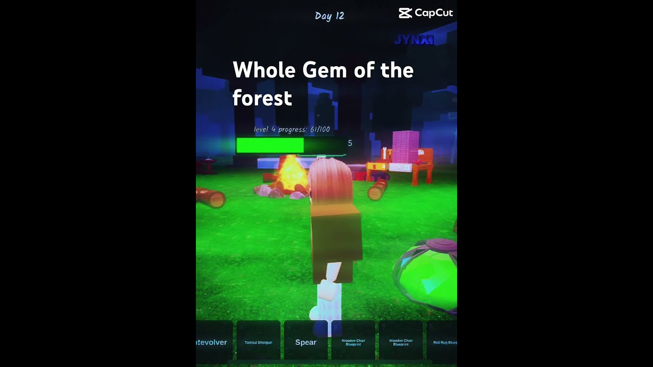 That I Have Proof Of Roblox