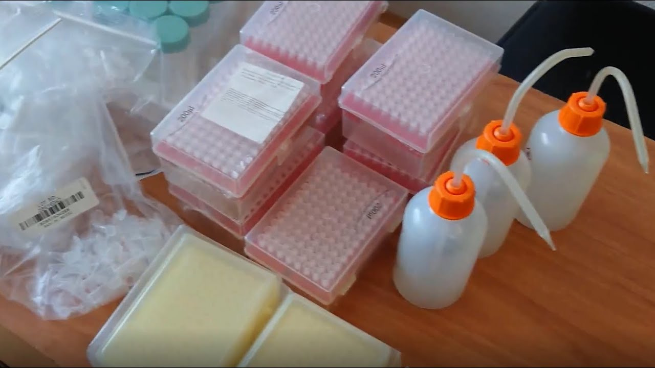 Unbagging - распаковка находок