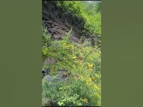 #скола#каменистое место⛰️#shorts - YouTube
