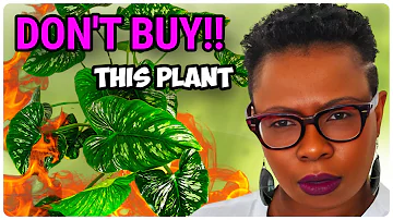 Why I Will Never Buy These Plants Again! 3 plants I REGRET buying