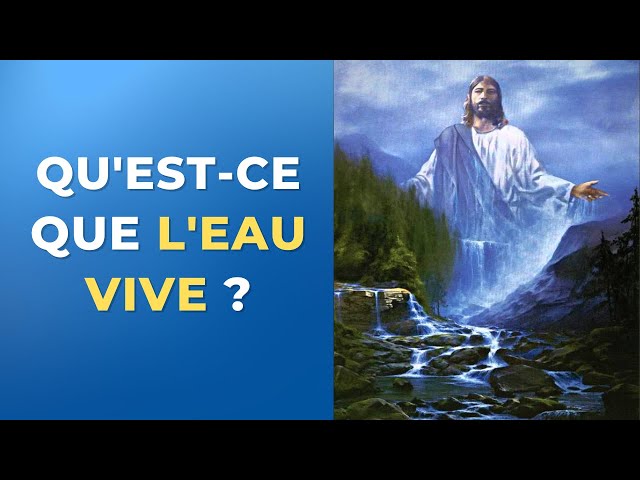 Visionner la vidéo sur YouTube