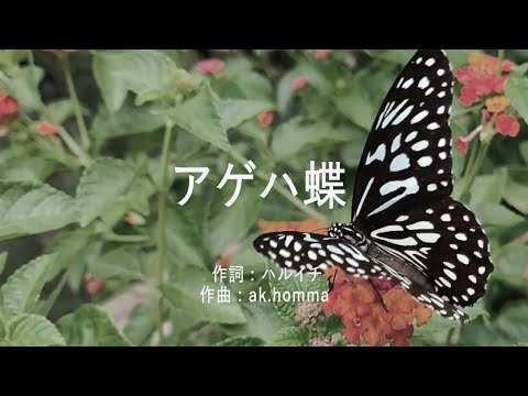 アゲハ蝶 - ポルノグラフィティ (高音質/歌詞付き)