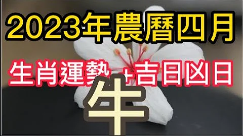 【古柏論命每月運勢 + 吉日凶日】2023年農曆四月(陽曆5/19 ~ 6/17)生肖運勢分享 -  牛 - 天天要聞