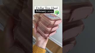 Dollar Tree Finds, February 2023 dollartreehaul dollartreefinds dollartreeorganization savemoney