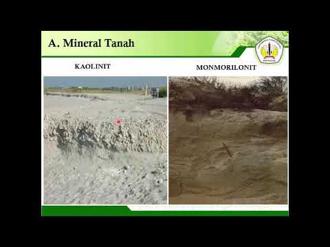 Dasar-Dasar Ilmu Tanah: Sifat Kimia Tanah Bagian I (Soil Chemistry Characteristics Part I)