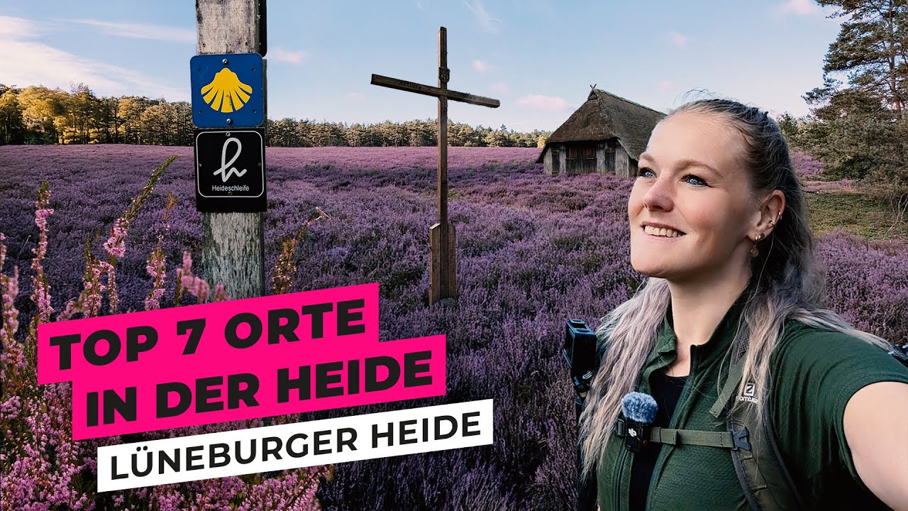 Lüneburger Heide – 7 Orte, die du sehen musst | Solo Vanlife