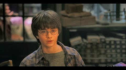 Harry Potter & The Sorcerer