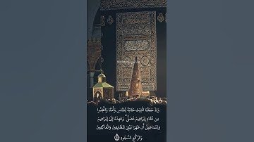 تلاوة خاشعة للشيخ ياسر الدوسري ❤️ #قرآن #ياسر_الدوسري #المغرب #تلاوات #قران_كريم #اكسبلور #مصر #عرب