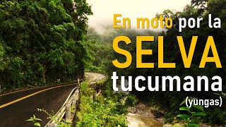 Cross the JUNGLE on a MOTORCYCLE. Trip through the Yungas of TUCUMAN ► #ClubRalenti ◄ Argentina screenshot 4