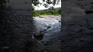 நதியின் இன்னிசை️|Waterflow sound| Tamilnadu beauty|Kongu Nadu Alagu| #Shorts #shortsvideo