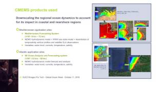 CMEMS use case: Monitoring and forecasting nearshore water quality