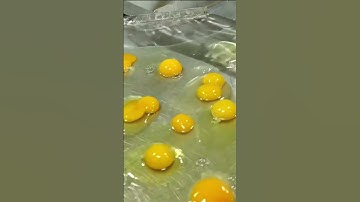 🥚Egg Factory | Egg Processing Machine | Automatic Processing & Packing Line |Egg Separation #shorts