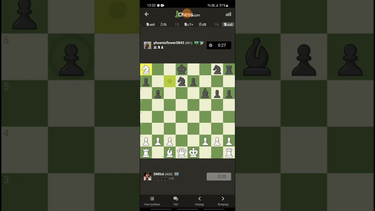 Шахматы Пуля 7