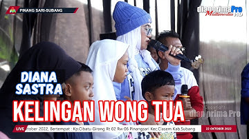 KELINGAN WONG TUA || DIANA SASTRA (LIVE MUSIC OFFICIAL) DIAN PRIMA