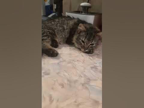 чилим - YouTube