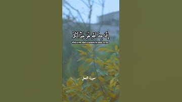 وَلَا تَشْتَرُوا۟ بِعَهْدِ ٱللَّهِ ثَمَنًا قَلِيلًا "القارئ محمد صديق المنشاوي سورة النحل تجويد