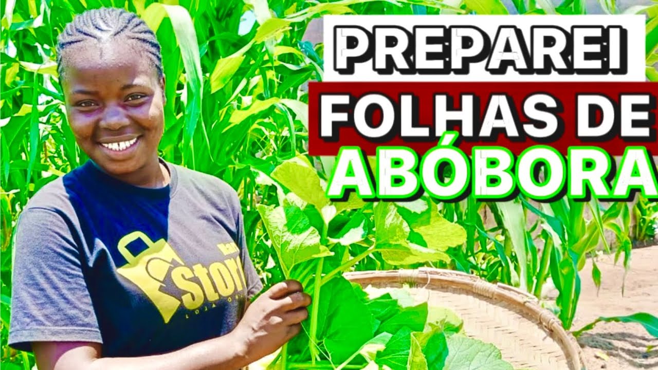 PREPAREI FOLHAS DE ABÓBORA COM CAMARÃO