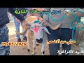 مباشرة من سوق سبت سطات الشاوية 09 05 2026 مع حولي العيد