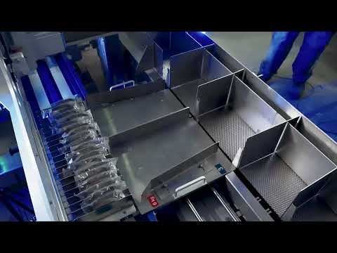 Maluka speeds up food cartoning process with OMRON servo drives