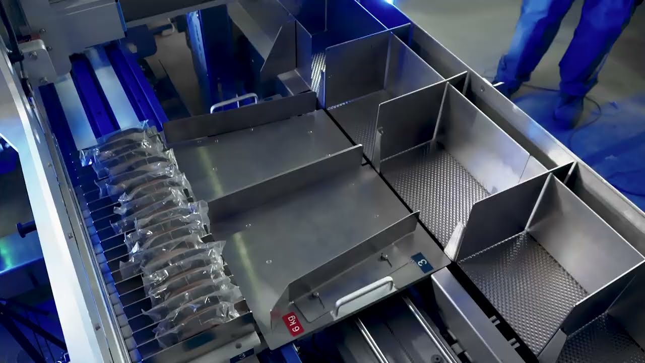 Maluka speeds up food cartoning process with OMRON servo drives