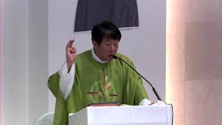 [매일미사 강론] 예수님이 더 이상 필요하지 않은 사람들, 기도가 사라진 사람들, 믿음이 의미없다고 생각하는 사람들에게 연중 제13주간 수요일 25.07.02/ 김재덕 베드로 신부