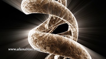 DNA 014 HD, 4K Stock Footage