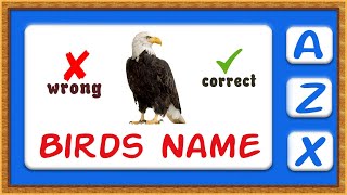 Kids Learning | Learn Birds Name | A to Z Birds Name | Kids Vocabulary Words screenshot 5