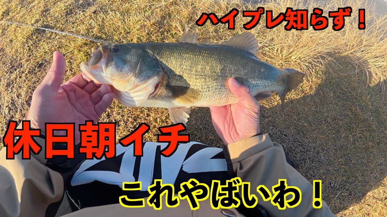 「五三川」エサなんだわこれは！