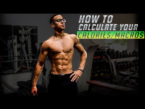 How To Calculate Your Calories/Macros | ازاي تحسب سعراتك الحرارية - YouTube
