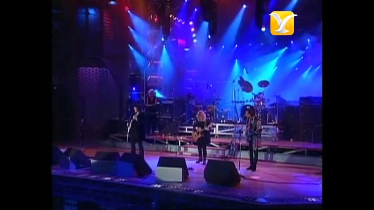 Heart, Love Hurts, Festival de Viña 1994