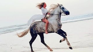 Horse riding in beach 🏖️