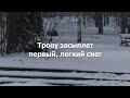 Тропу засыплет первый, легкий снег #стихи