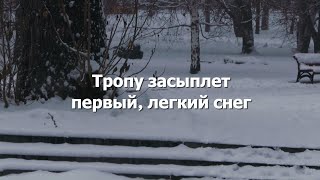 Тропу засыплет первый, легкий снег #стихи