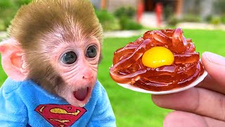 Baby Monkey BonBon Playing with Cute Puppy and Eat Noodles in the Garden - BonBon Farm