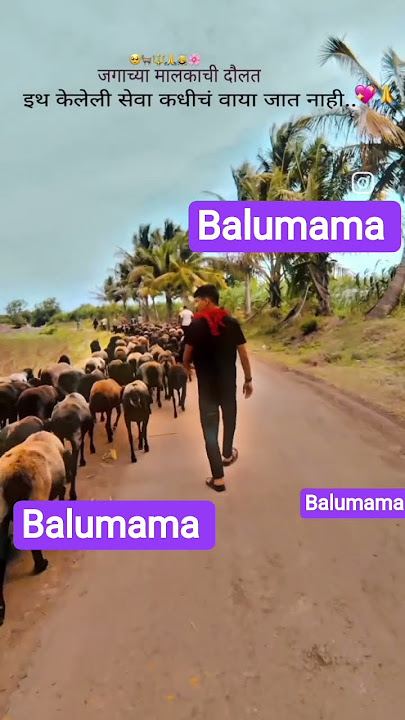balumama chay tlavar kilile seva kdhich vaya jat nahe 🙏jay balumama 🙏