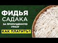 ВАЖНО: как платить ФИДЬЮ за пропущенную уразу?