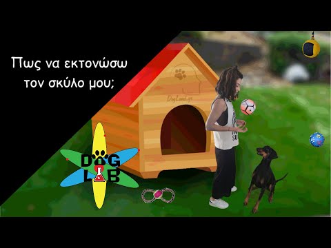Βίντεο: Πώς να παίξετε το παιχνίδι με το σκυλί σας