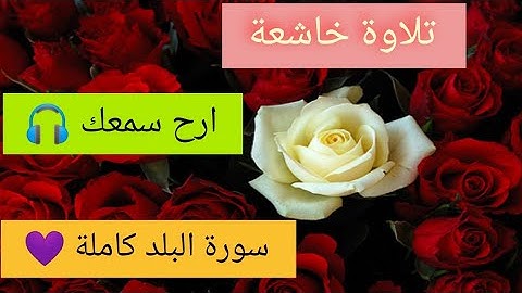 ارح سمعك ..🌿 تلاوة تريح الاعصاب من سورة البلد 🥺💜