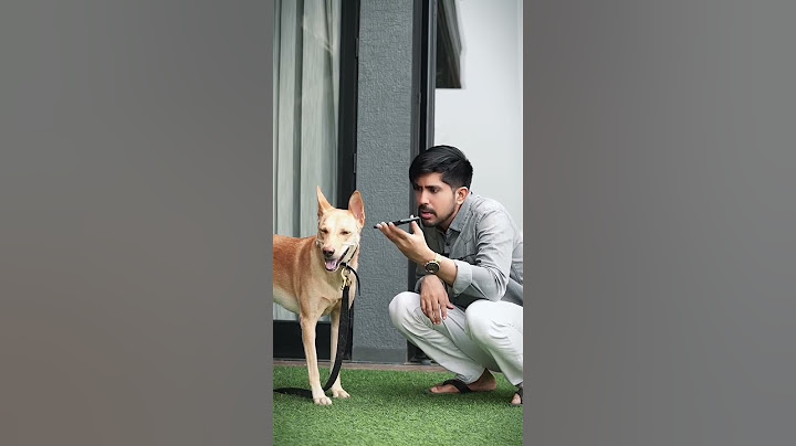 power  of a.i #dog #thekuldeepsinghania #kuldeepsinghania #doglover