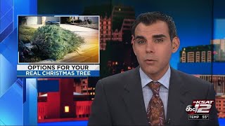 VIDEO: City to offer free drop-off locations to recycle Christmas trees