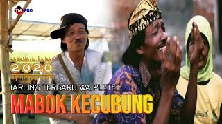 TARLING TERBARU MABOK KECUBUNG VOC WA PLETET