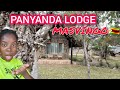 Inside Masvingo S Hidden Gem Nyanda Lodgeрџ їрџ ј Inside Masvingo S Hidden Gem Nyanda Lodgeрџ їрџ ј