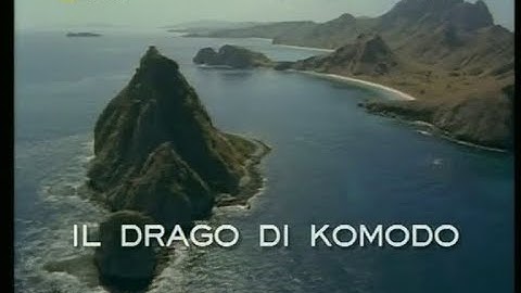 Il drago di Komodo