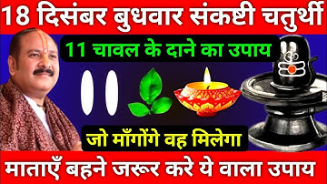 18 दिसंबर पौषमास बुधवार संकष्टी चतुर्थी व्रत को 11 चावल दाने वाला उपाय जरूर करे || Pradeep Ji Mishra