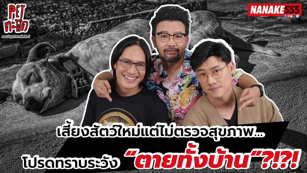 เลี้ยงสัตว์ใหม่แต่ไม่ตรวจสุขภาพ โปรดทราบ ระวัง"ตายทั้งบ้าน" ?!?! | #Petตะพึด