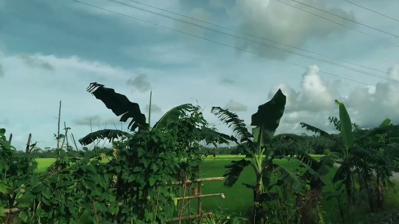 Nature’s with friends 