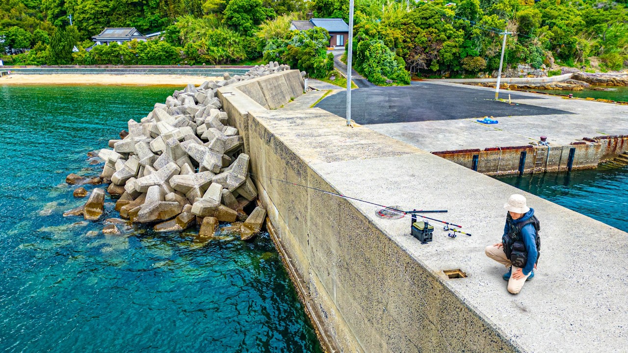This Breakwater Was Packed with Giant Premium Seafood