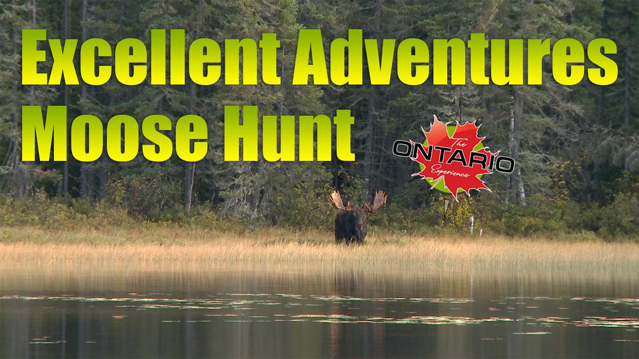 Moose Hunting in Sunset Country (Excellent Adventures! The Ontario Experience