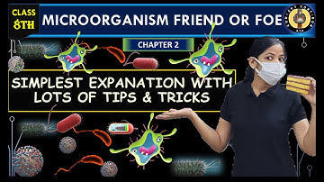 Microorganisms Friend And Foe | Chapter 2 One Shot | Class 8 science
